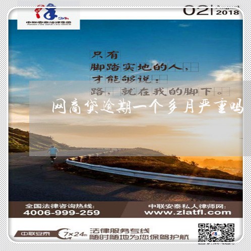 网商贷逾期一个多月严重吗/2023022806160 网商贷逾期一个多月严重吗/2023022806160