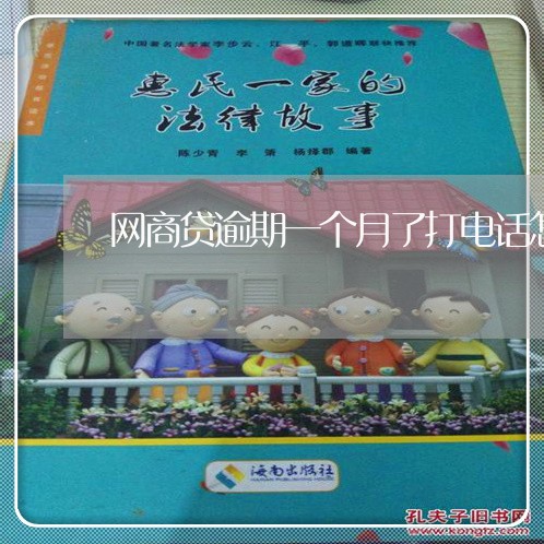 网商贷逾期一个月了打电话怎么说