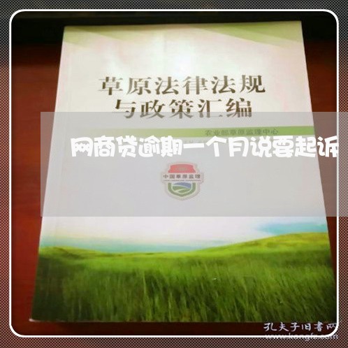 网商贷逾期一个月说要起诉/2023020916140