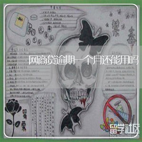 网商贷逾期一个月还能用吗/2023022861596