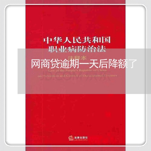 网商贷逾期一天后降额了/2023021961806