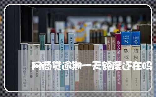网商贷逾期一天额度还在吗/2023022867471