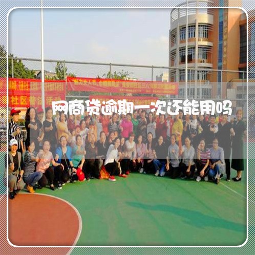 网商贷逾期一次还能用吗/2023022883859 网商贷逾期一次还能用吗/2023022883859