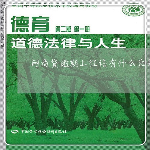 网商贷逾期上征信有什么后果
