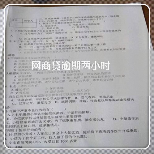 网商贷逾期两小时/2023061865059