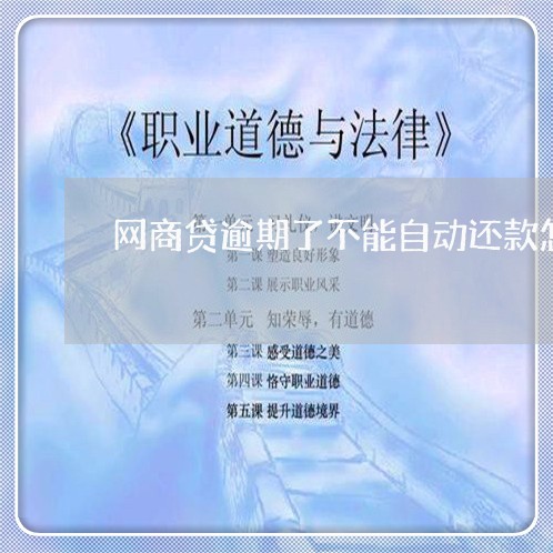 网商贷逾期了不能自动还款怎么办/2023100893738