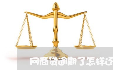 网商贷逾期了怎样还花呗/2023032976268