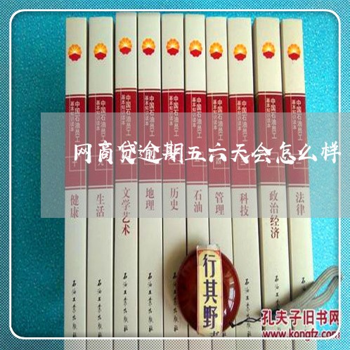 网商贷逾期五六天会怎么样/2023022567381