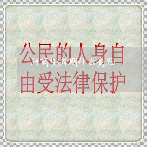 网商贷逾期什么意思/2023022459403
