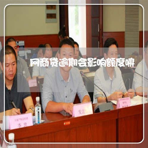 网商贷逾期会影响额度嘛/2023022806837