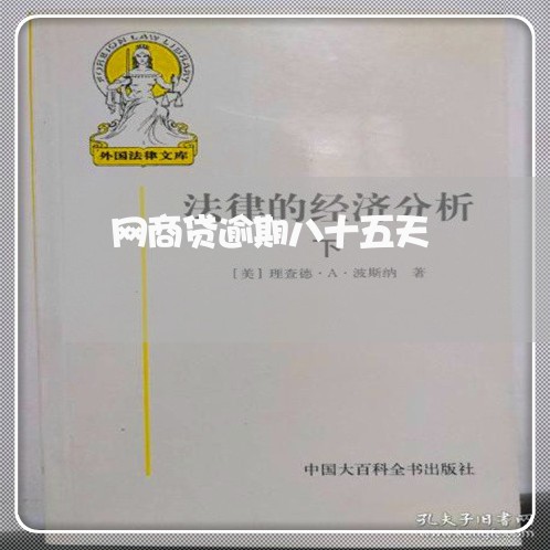 网商贷逾期八十五天/2023022403029 网商贷逾期八十五天/2023022403029