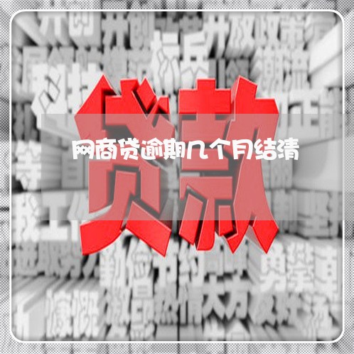 网商贷逾期几个月结清/2023061829470