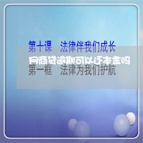 网商贷逾期可以还本金吗/2023061641605