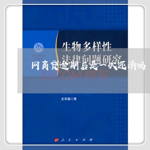 网商贷逾期后是一次还清吗/2023061691603