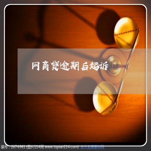 网商贷逾期后起诉/2023012992837