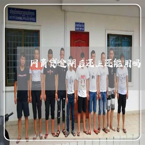 网商贷逾期后还上还能用吗/2023022872815 网商贷逾期后还上还能用吗/2023022872815