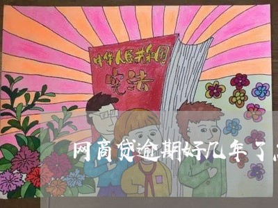网商贷逾期好几年了怎么办/2023011958271 网商贷逾期好几年了怎么办/2023011958271