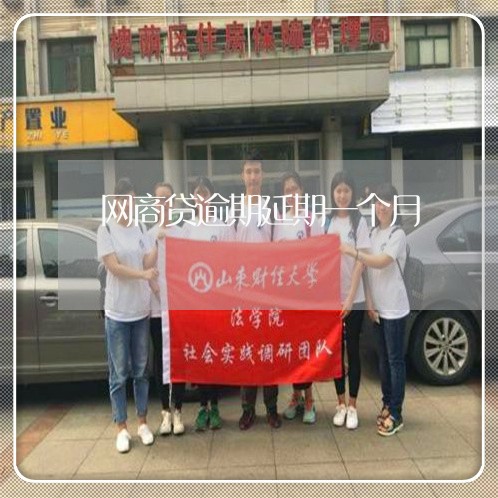 网商贷逾期延期一个月/2023013085361 网商贷逾期延期一个月/2023013085361