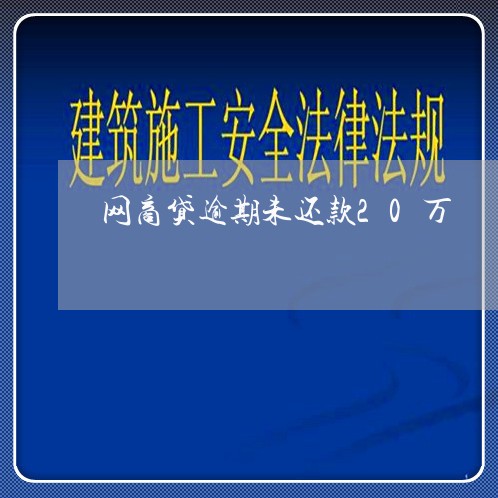 网商贷逾期未还款20万/2023061883716