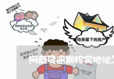 网商贷逾期核实地址怎么填/2023012943847