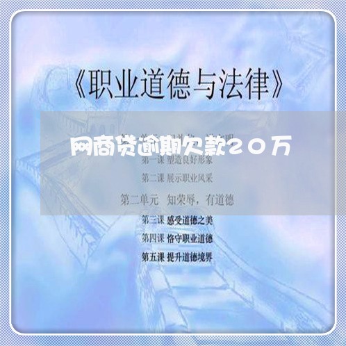 网商贷逾期欠款20万/2023021028656