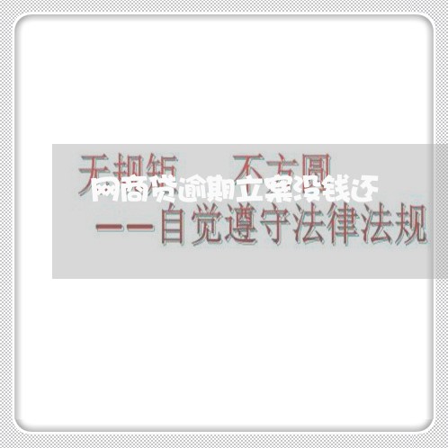 网商贷逾期立案没钱还/2023012135272
