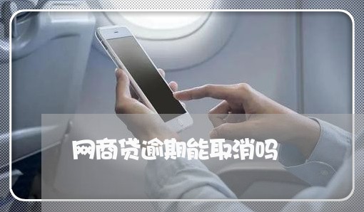 网商贷逾期能取消吗/2023020656541