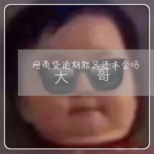 网商贷逾期能只还本金吗/2023022860513