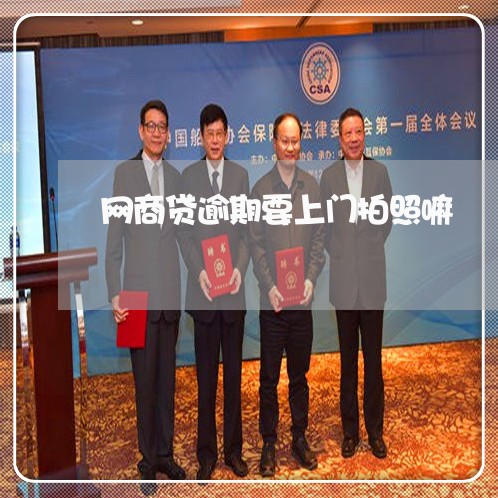 网商贷逾期要上门拍照嘛/2023022863825