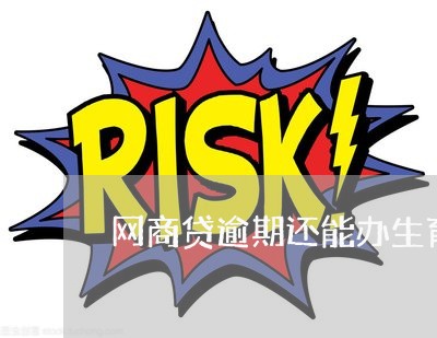 网商贷逾期还能办生育险吗/2023022862515