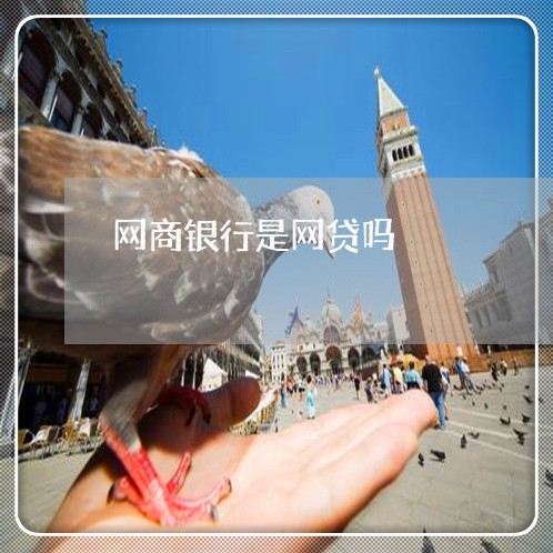 网商银行是网贷吗/2023022838260