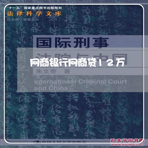 网商银行网商贷12万/2023120951480