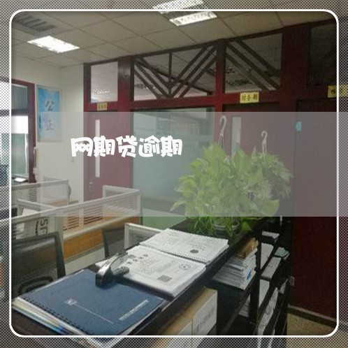 网期贷逾期
