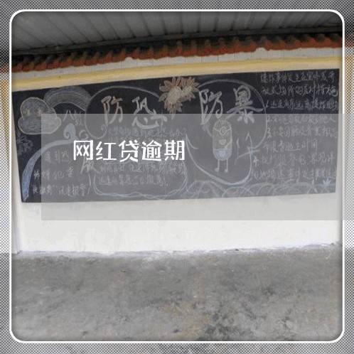 网红贷逾期 网红贷逾期
