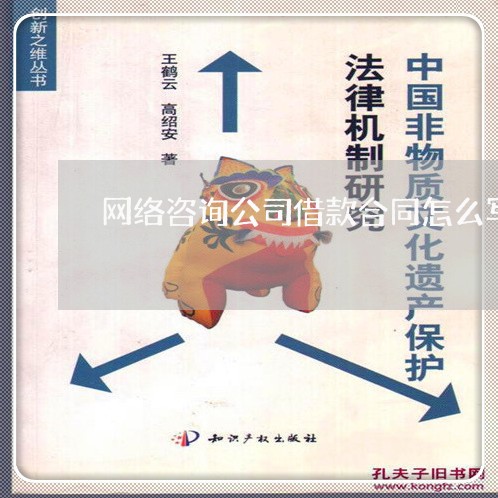 网络咨询公司借款合同怎么写/2023022651594