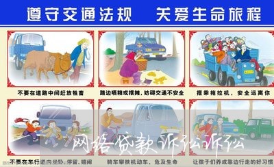 网络贷款诉讼诉讼