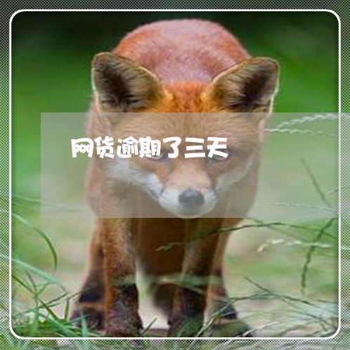 网货逾期了三天
