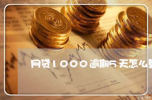 网贷1000逾期5天怎么算的 网贷1000逾期5天怎么算的