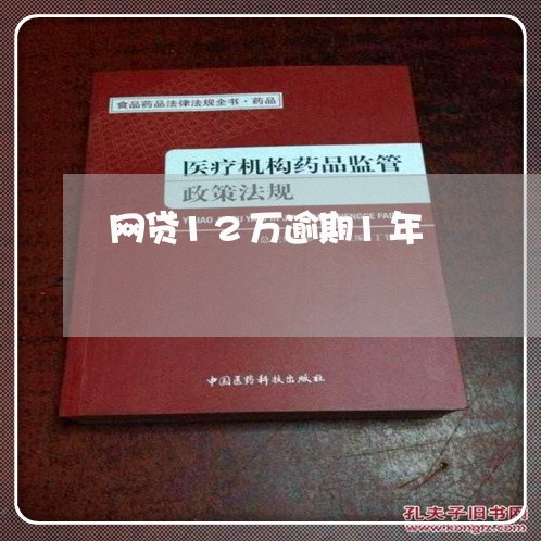 网贷12万逾期1年