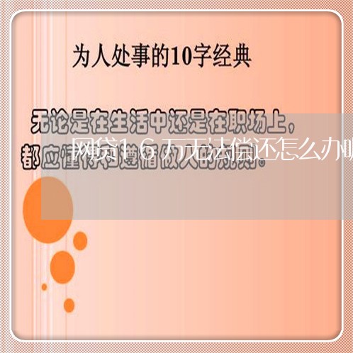 网贷16万无法偿还怎么办呢/2023030149584