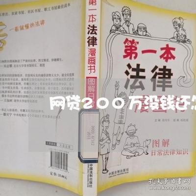 网贷200万没钱还怎么办/2023111580484