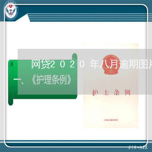 网贷2020年八月逾期图片 网贷2020年八月逾期图片