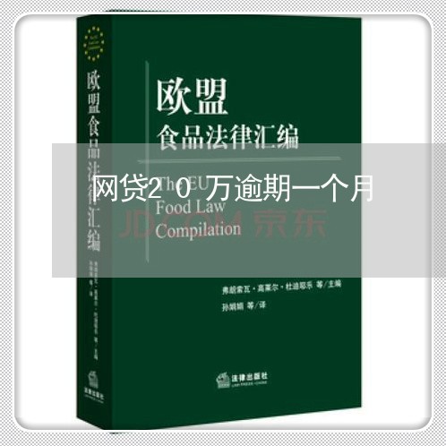 网贷20万逾期一个月
