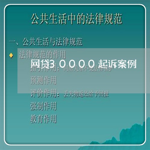 网贷30000起诉案例/2023091356958