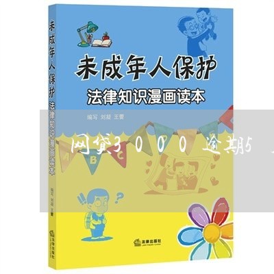 网贷3000逾期5月利息多少啊/2023011856392