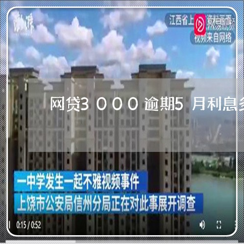 网贷3000逾期5月利息多少钱/2023020972839