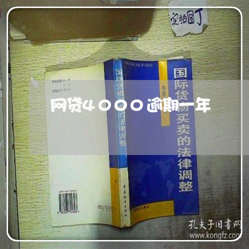 网贷4000逾期一年