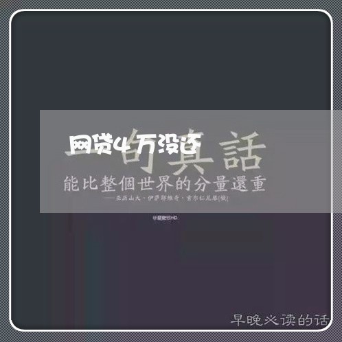 网贷4万没还/2023112620370