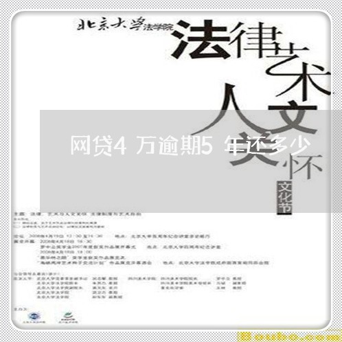 网贷4万逾期5年还多少/2023120330395