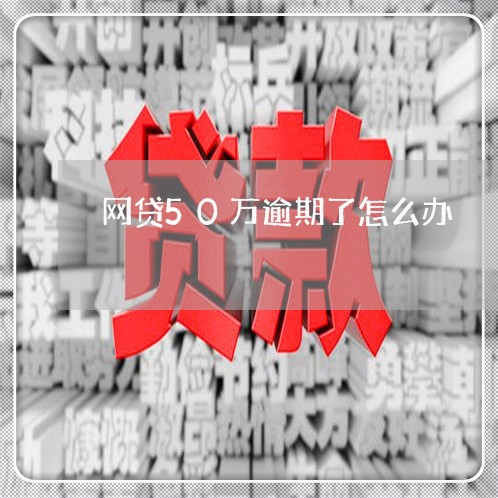 网贷50万逾期了怎么办/2023120516946